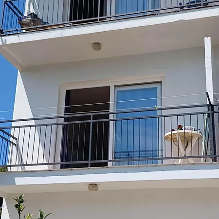 Vjera Daire